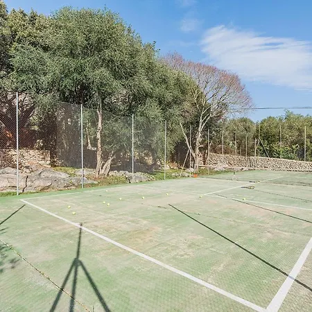 Romani Польєнса